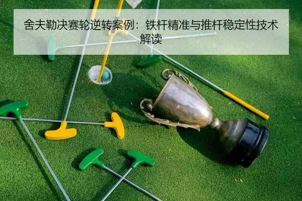she-fu-lei-jue-sai-lun-ni-zhuan-an-li-tie-gan-jing-zhun-yu-tui-gan-wen-ding-xing-ji-shu-jie-du-2-795.jpg