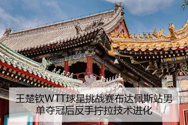 wang-chu-qin-qiu-xing-tiao-zhan-sai-bu-da-pei-si-zhan-nan-dan-duo-guan-hou-fan-shou-ning-la-ji-shu-jin-hua-2-262.jpg